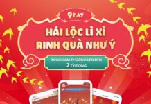 Hái lộc lì xì nhận card điện thoại miễn phí từ 9PAY Hái lộc lì xì nhận card điện thoại miễn phí từ ví điện tử 9Pay