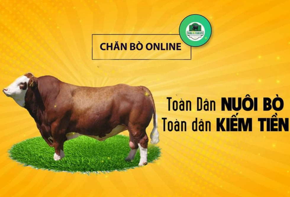 App nuôi bò - trang trại online lừa đảo