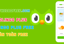Duolingo Plus là gì? 3 Cách để có Duolingo Plus Free Duolingo plus, Tài khoản duolingo plus free hoàn toàn miễn phí