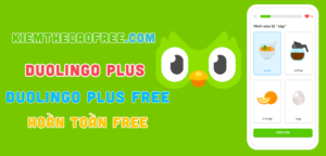 Duolingo plus, Tài khoản duolingo plus free hoàn toàn miễn phí
